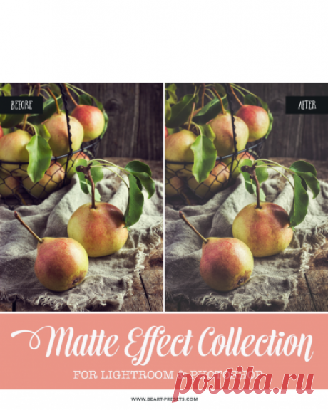 Matte  Collection: Lightroom Presets, Photoshop Actions and ACR Presets by BeArt Presets | лучшие пресеты для обработки фотографий