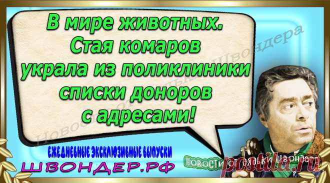 Новости от дядьки Швондера, классный анекдот, смешная фраза, веселая фенечка, каламбур, афоризмы, смех, забавные картинки, сложный юмор, непонятные анекдоты, цитаты из интернета, мэмчик, развлечение, Швондер говорит, Шариков, Собачье сердце, улыбка до ушей, веселый сайт, забава, смешарик, мем, потеха, картинка со смыслом, фарс, наколка, мемасик, шутка, юмор, анекдоты в картинках, юмор в картинках, свежие приколы, Швондер, смешная фишка, улыбка, интересное в сети, смех, швондер.рф, #швондер.рф