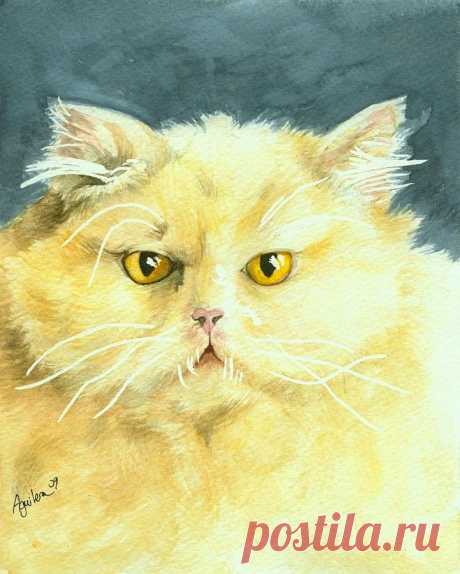 Yellow Persian Cat by Dottie Dracos Yellow Persian Cat Painting by Dottie Dracos