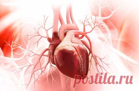 Важный минерал для вашего сердца Микроэлементы играют важную роль в функционировании организма и во многом определяют состояние здоровья человека.