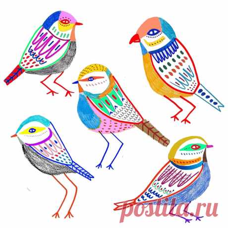 garden birds, bird illustration, bird art, birds, artist, illustrator, animal art, nature, colorful, pattern design, logo design, kids art, children's illustrator - Ashley Percival Illustration