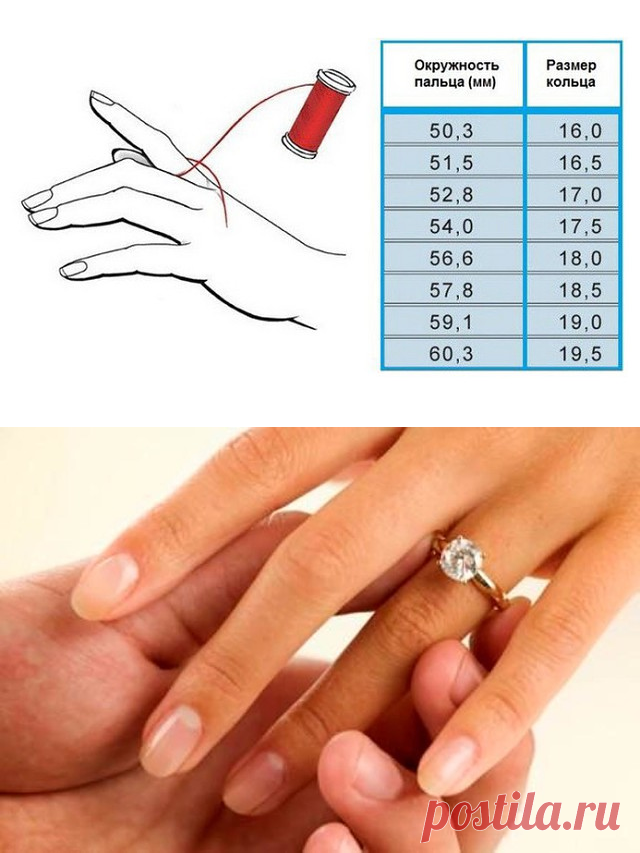Размер кольца по обхвату. Размеры женских колец. 16 5 Мм размер кольца. Размер кольца по объему пальца. Размер кольца по ширине пальца.