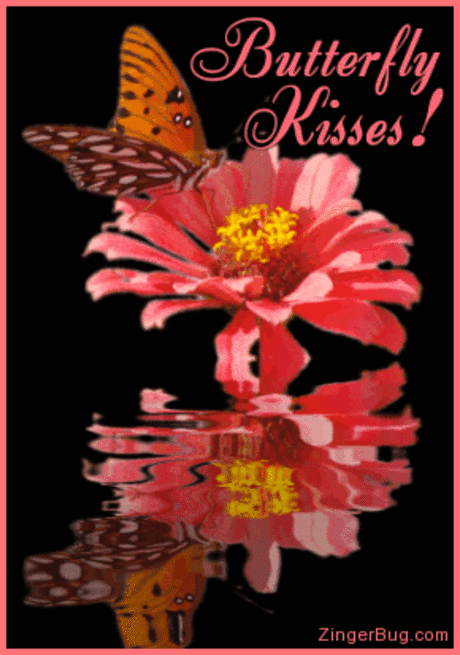 Butterflies images Butterfly Kisses,Animated wallpaper and background photos (19842538)