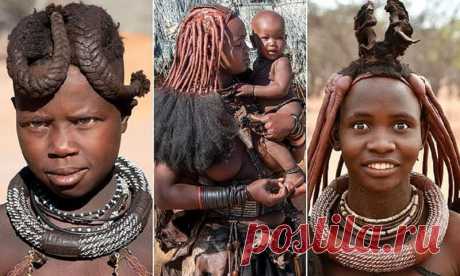 Намибийские красотки хвастаются глиняными дредами Девушки из племени химба, уединенно живущего в отдаленном районе Намибии, делают специальную пасту, которую считают лучшим средством для красоты! Она