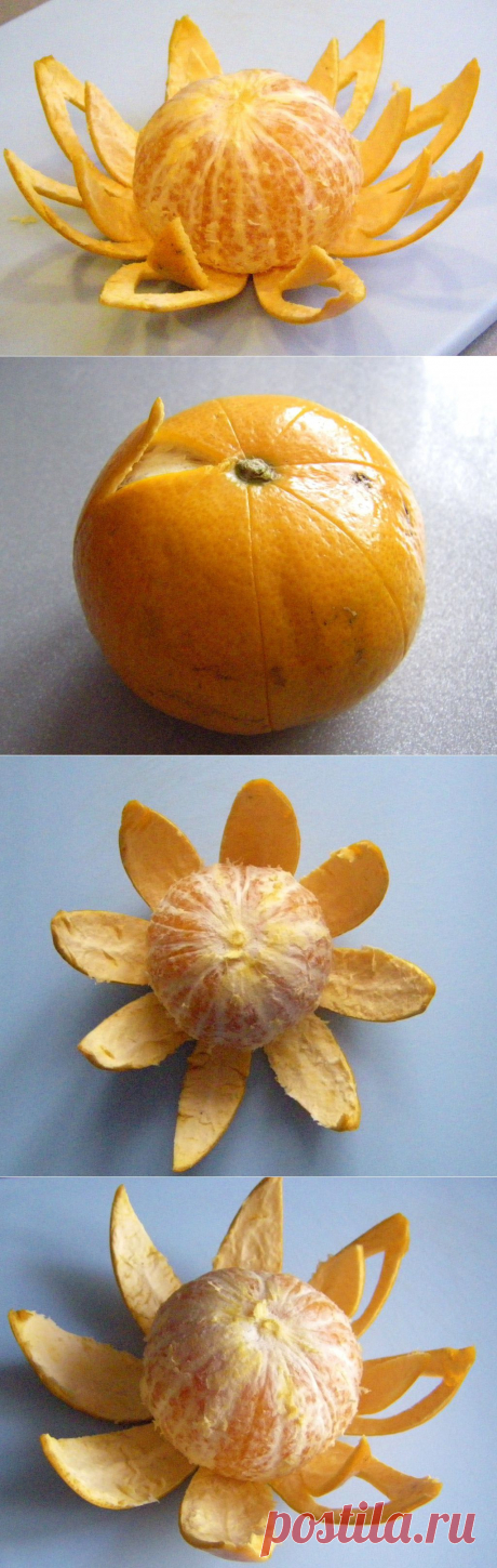 Нарядный мандарин