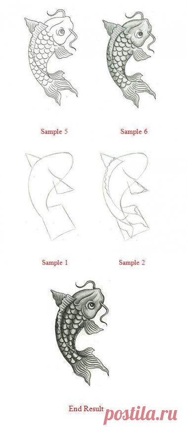 Как нарисовать рыбу карп