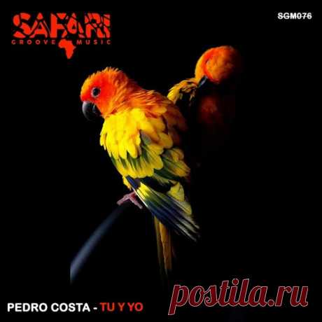 Pedro Costa – Tu Y Yo [SGM076] ✅ MP3 download