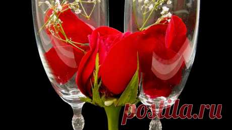 Скачать обои роза, красная, бокал, цветок, бутон, раздел цветы в разрешении 1600x900