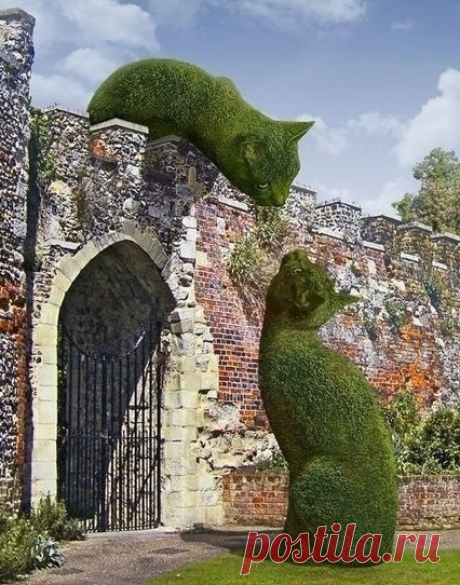 Ричард Сондерс — британский художник-сюрреалист, который доказал свою любовь к кошкам на деле, увековечив своего кота в серии оригинальных работ под названием "Topiary Cat". Его картины-коллажи — это фотомонтаж с травяными котами. Он просто берет изображения различных английских пейзажей, садов, особняков и размещает на них огромные котокусты.

Сондарс говорит, что открыл для себя сюрреализм еще в детстве, и с тех пор он его захватил. Кроме мастерства и цвета, в его творче...