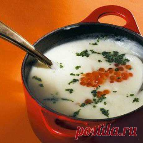 Крем-суп из цветной капусты рецепт – французская кухня: супы