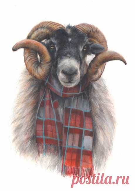 Art by Lana Mathieson | Scottish Themed Art | Custom Pet Portraits | Lanark, Scotland