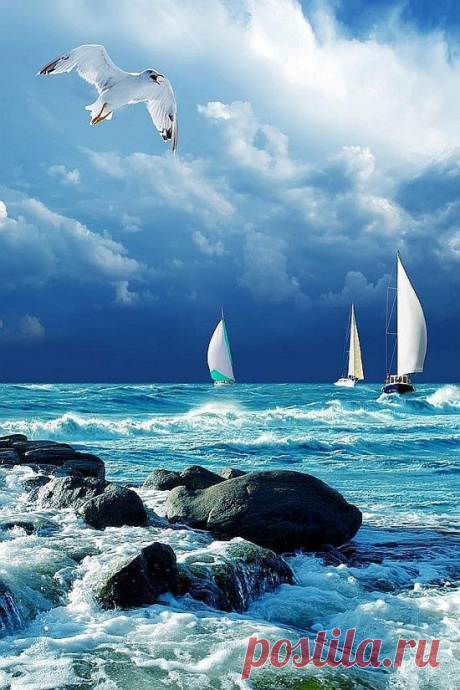 Sea and sky | Water World Wow !