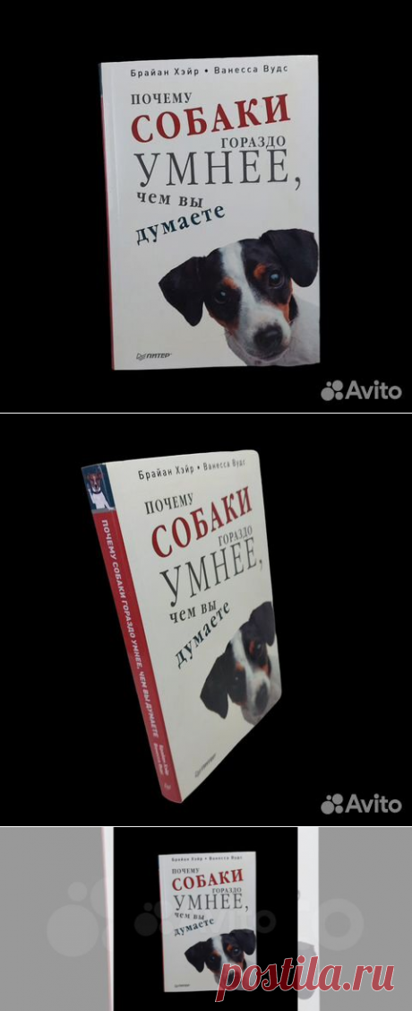 Почему собаки гораздо умнее, чем вы думаете Хэйр Б.,... купить в Москве | Авито