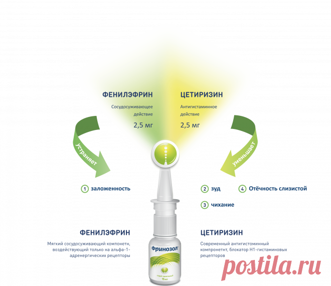 Спрей в нос Фринозол ‒ официальный сайт препарата.