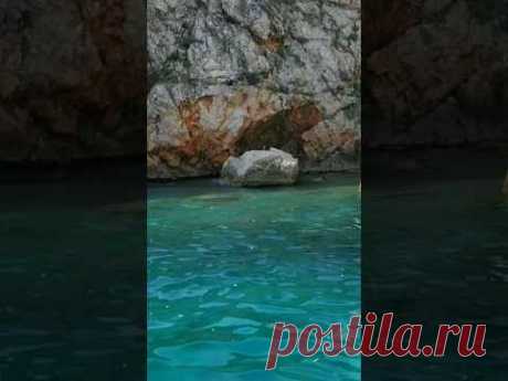 #остров Крк #хорватия #sealovers