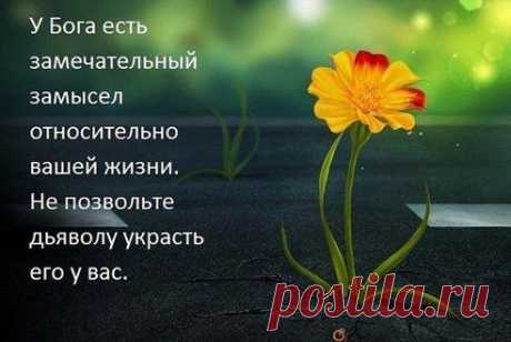 .
Сегодня Бог проснулся на рассвете,
Огромный ящик с просьбами у ног...
А рядом лишь один без просьб конвертик:
«Благодарю за всё тебя, мой Бог...» 

Ирина Самарина-Лабиринт.

(В этой группе очень много разных трогательных и интересных историй из жизни людей, реальные свидетельства, все лучшее для вас! Вступайте в группу &quot;Вечное живое слово&quot; и приглашайте в нее своих друзей!) Здесь ссылка в группу https://www.odnoklassniki.ru/svidetelstvo1
•••