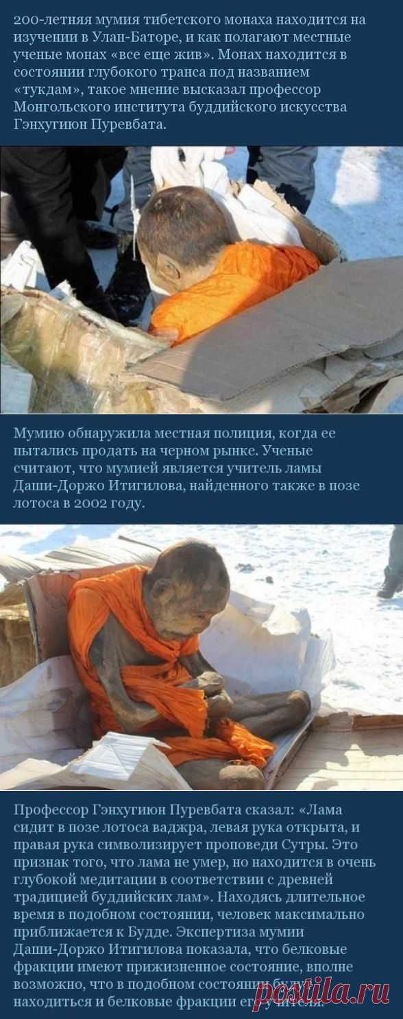 В Улан-Баторе изучают мумию 200-летнего монаха, который «все еще жив».