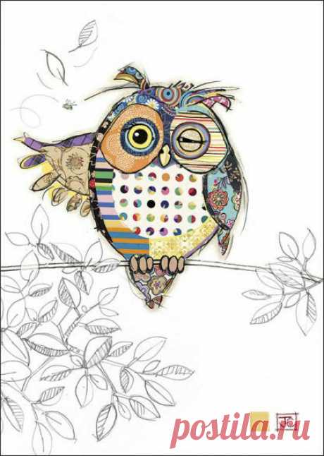 KOOKS by Bug Art - Cute & Quirky Greeting Card - OLLIE OWL - BA-KKS-004 | eBay