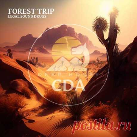 Legal Sound Drugs, Deep House Cafe De Anatolia Music & Cafe De Anatolia - Forest Trip