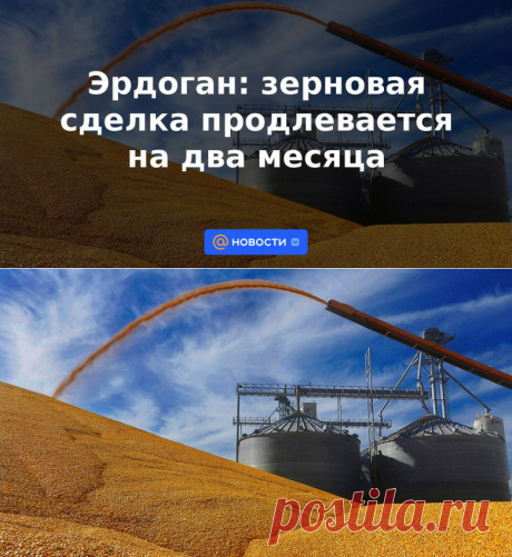 Эрдоган: зерновая сделка продлевается на два месяца | 17 мая 2023 - Новости Mail.ru