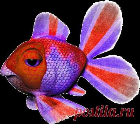 Анимационные открытки Рыбы, золотая рыбка, морские животные и растения. Анимационные картинки в формате gif для гостевых книг и блогов с кодами
