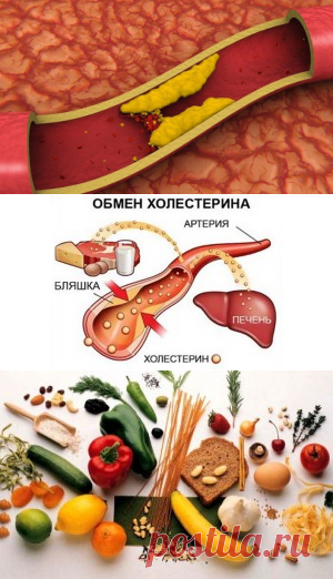 Ряд народных средств, которые помогут Вам в борьбе с холестерином — Диеты со всего света