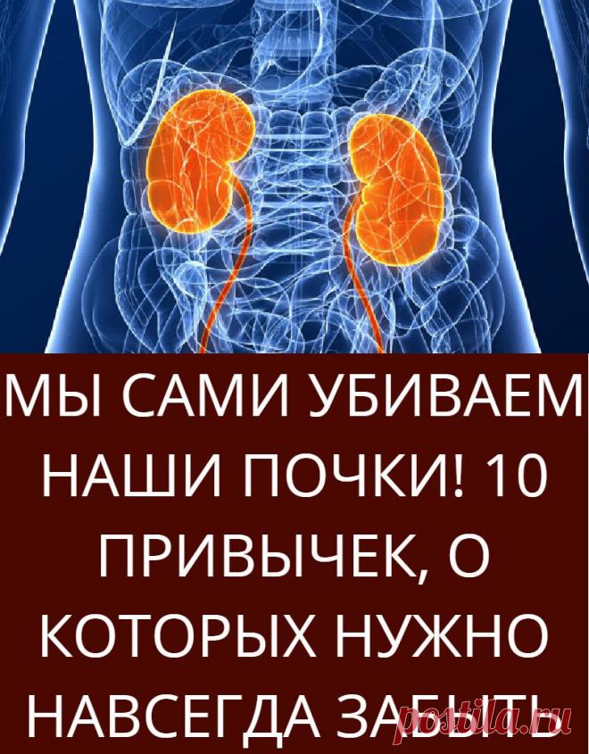 Полезная пища для почек. Какие любимые продукты почек. Продукты вредные для почек. Продукты полезные для почек. Полезное и вредное для почек.