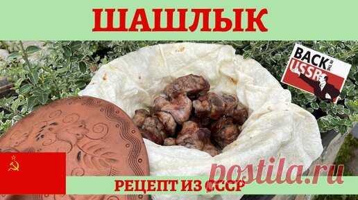 Вкусный рецепт советского ШАШЛЫКА из свинины! | AndreevkaLife | Дзен