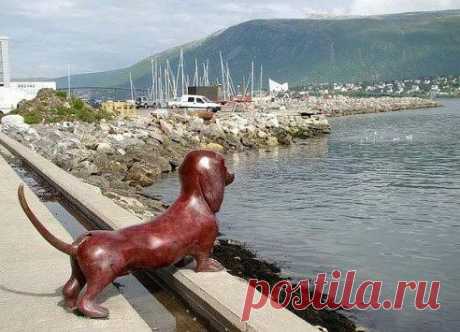 Памятник верной Таксе в Норвегии, г. Tromsø. Когда дует сильный ветер, собака покачивает хвостом.