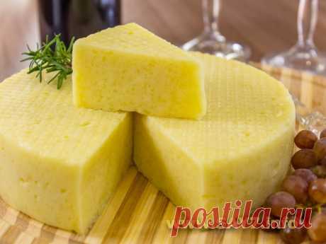 Рецепт самого вкусного домашнего сыра