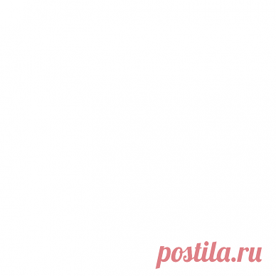 Лилия Восточная Санкетчер