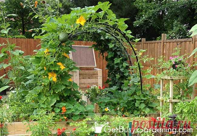 Vertical Vegetable Garden Ideas | Smart Money Simple Life