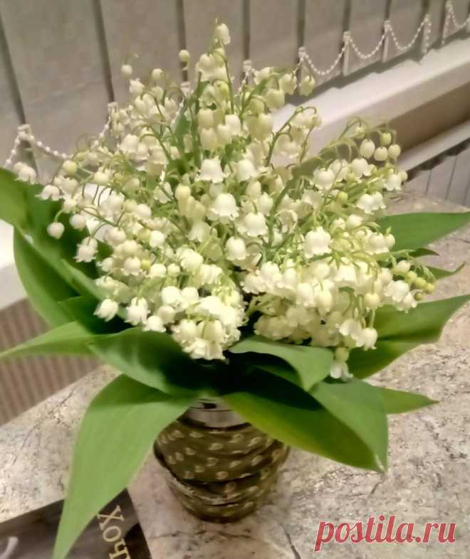 Я никогда не привыкну к весне. Год за годом она поражает меня, она прив ...