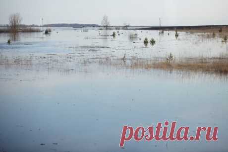 Уровень воды в курганском Тоболе за сутки поднялся на 105 сантиметров. На данный момент уровень воды составляет 970 сантиметров.