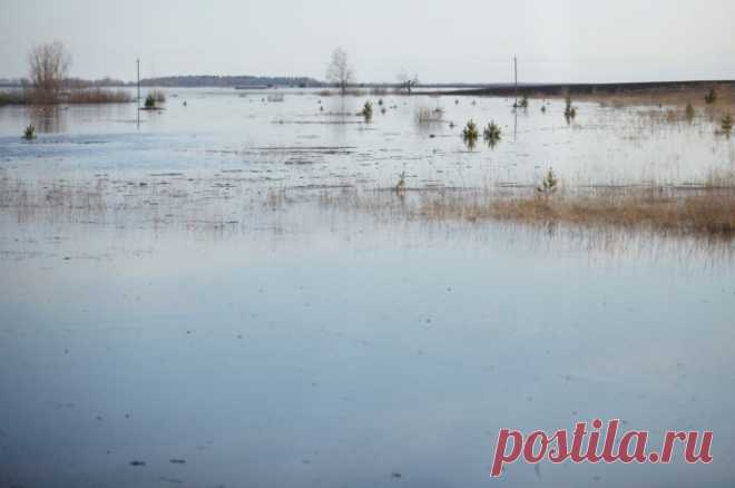 Уровень воды в курганском Тоболе за сутки поднялся на 105 сантиметров. На данный момент уровень воды составляет 970 сантиметров.