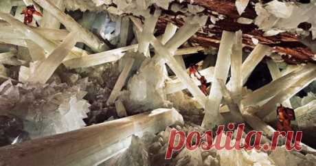 Пещера Найка, Мексика
Пещера кристаллов (Cueva de los Cristales) – природное образование в мексиканском городе Найка, штат Чиуауа, лежащее на глубине более 300 метров под землей. Ее уникальность представлена переплетениями огромных прозрачных кристаллов селенита (кристаллическая разновидность гипса), достигающих рекордных размеров. Гигантские формирования несколько сотен тысяч лет находились и росли в заполненной водой подземной полости. Геологи называют данное нерукотворное мексиканское чудо "С