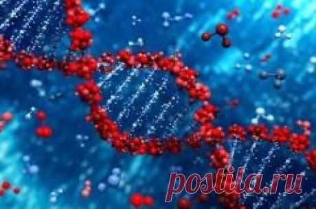 25 апреля отмечается "Международный День ДНК"
