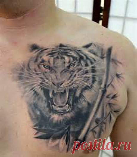 Татуировки На Грудь - Yahoo Image Search Results