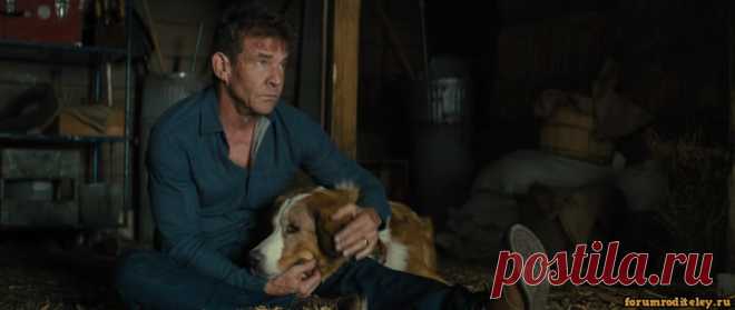 Собачья жизнь 2 (2019) (Дэннис Куэйд) :: #forumroditeley # ...