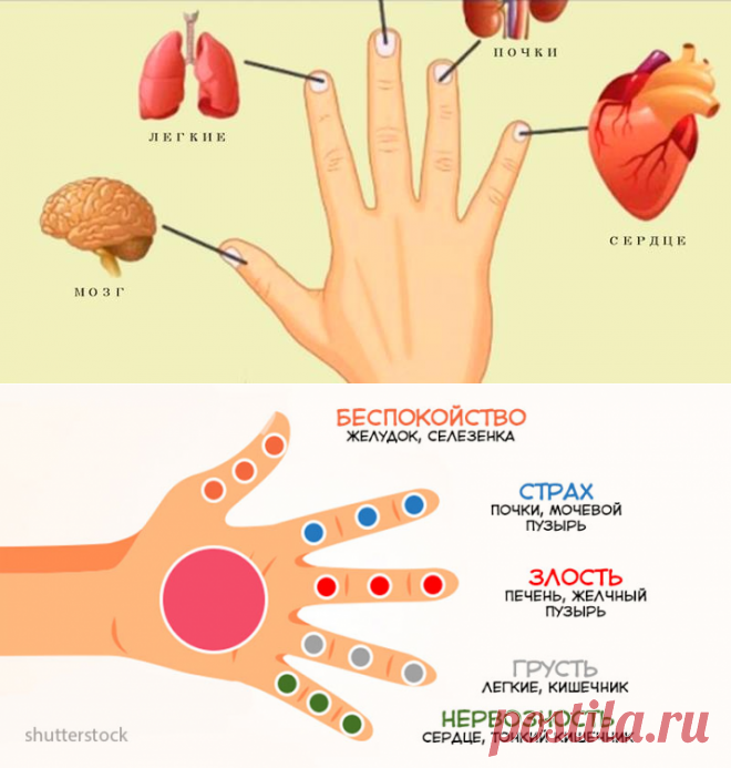 Какой палец связан с органами. Каждый палец связан с 2 органами. Японский метод самоисцеления. Японский массаж пальцев. Каждый палец это орган.