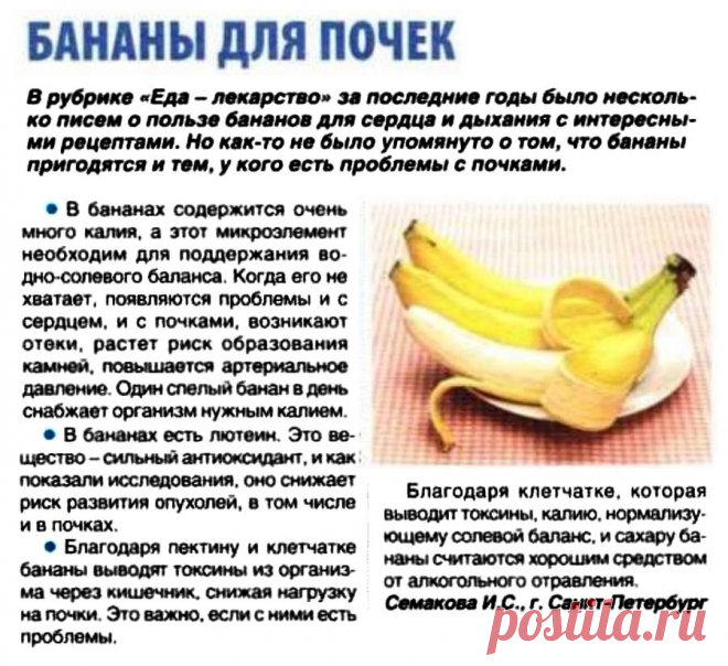 Десертный банан польза. Полезные свойства банана. Что полезного в бананах. Бананы польза. Чем полезен банан.