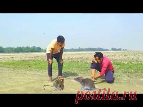 New comedy amazing funny Videos 2023 New year funny video Episode 62 By Bindas Fun Ds