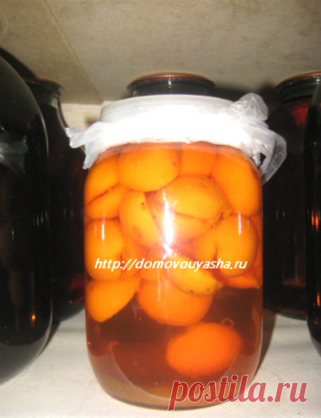 Домашняя настойка абрикосовая. Проверенный временем рецепт | Народные знания от Кравченко Анатолия