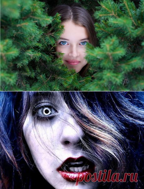 Вас можно прочесть по цвету Ваших глаз — вы энергетический вампир или донор? - be1issimo.ru
