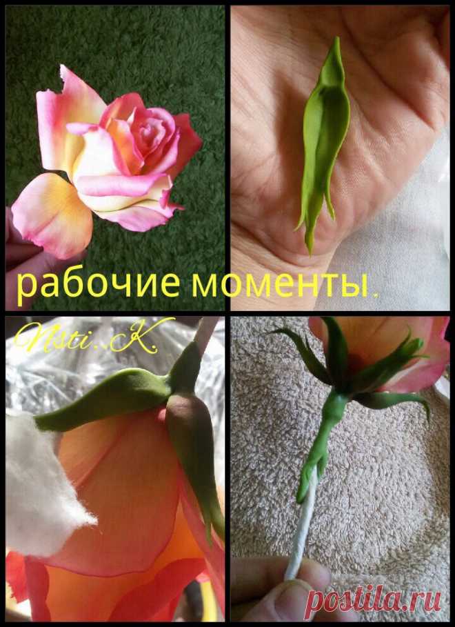 Листья, зелень, Чашелистники МК – 785 фотографий | ВКонтакте