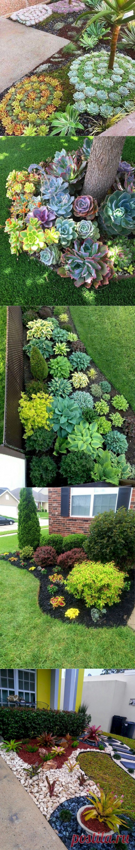 36 Awesome Succulent Front Yard Landscaping Ideas - MAGZHOUSE