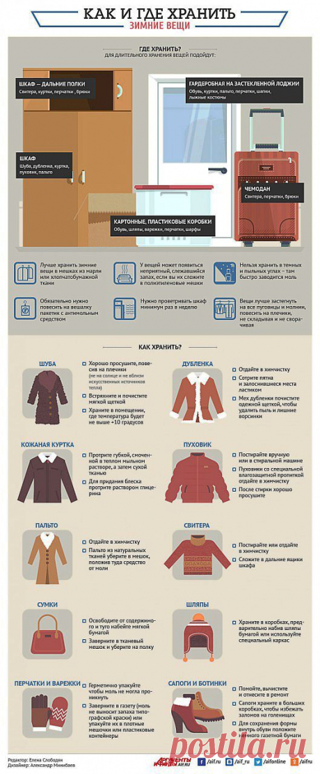 Где и как хранить зимние вещи? Инфографика | Полезные инструкции от aif.ru