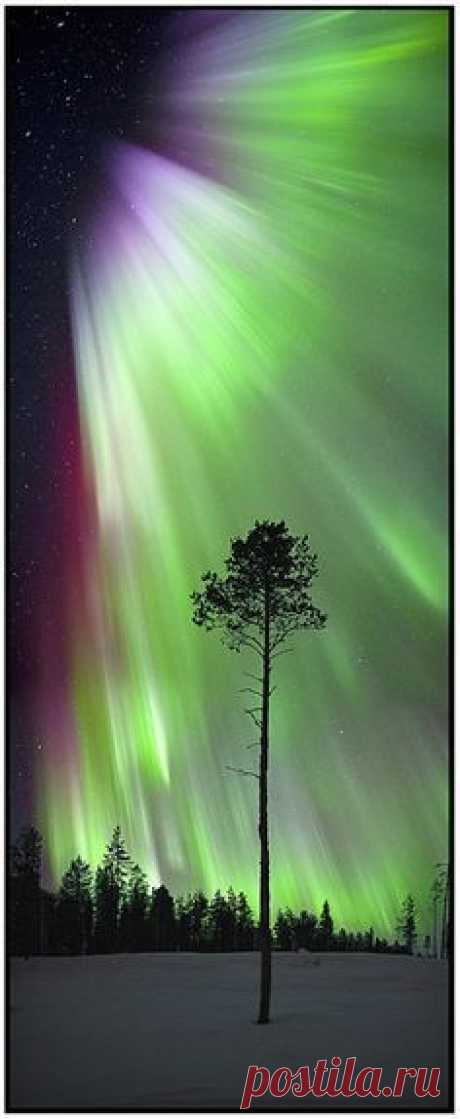 Aurora Borealis от пользователя antonyspencer на Flickr