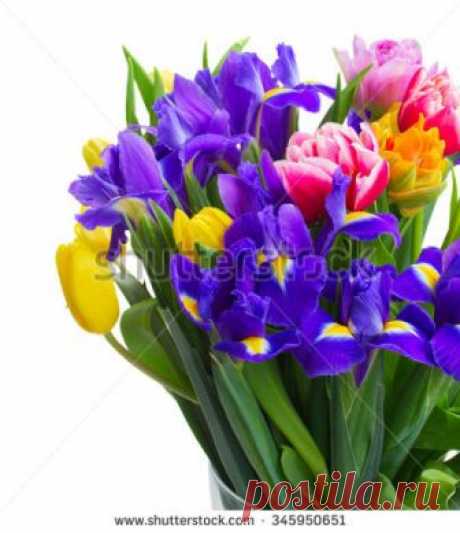 Bouquet Pink Tulip Flowers Yellow Daffodils Imagen De Archivo (stock) 239224375 - Shutterstock