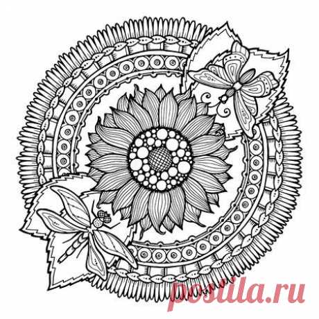 Circle summer doodle flower ornament. Hand drawn art mandala. Made by trace from sketch. Black and white ethnic background. Zentangle pattern for coloring book for adults and kids. 123RF - Миллионы стоковых фото, векторов, видео и музыки для Ваших проектов.